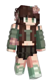 Skin preview