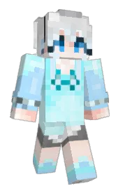 Skin preview