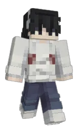 Jy_06's Minecraft skin wearing the Migrator cape