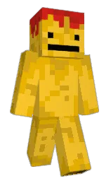 Minecraft skin — Classic model