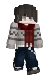 Front of wonderfool's skin