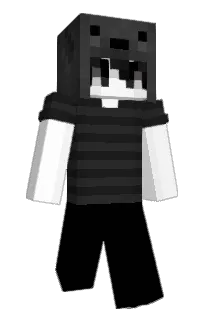 Front of N6V's skin