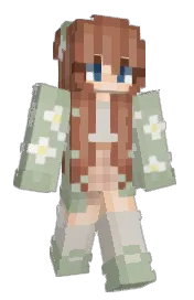 Skin preview