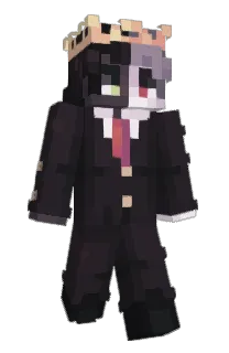 RapyKusza123Losz's Minecraft skin