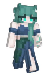 Front of Minecraft skin