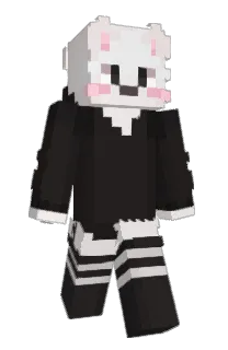 Front of zeprobr's skin