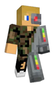 Skin preview