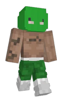 Front of bIInq's skin