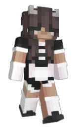 Back of Minecraft skin