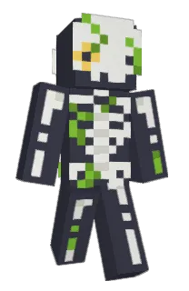 Front of TheDonkis's skin