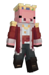 Front of kavns's skin