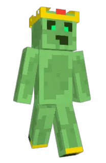 Front of bushmins's skin
