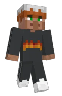 Front of 69pln's skin