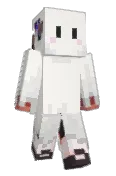 pippip304