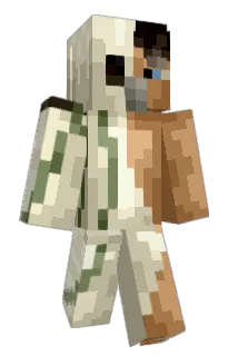 3li_ Minecraft avatar full body