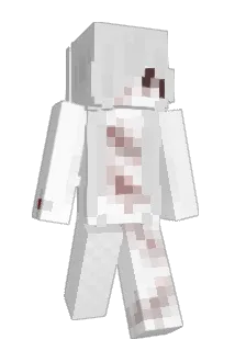 3vts Minecraft avatar full body