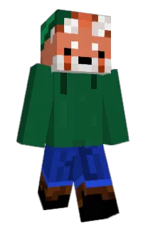 Front of Minecraft skin
