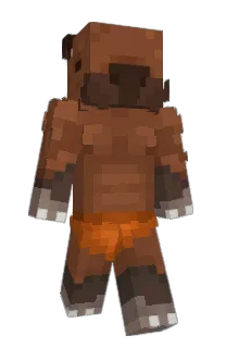 Front of bears__'s skin