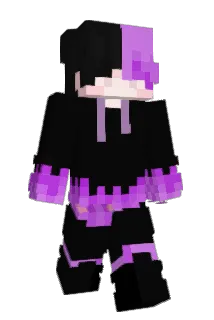 401AJA Minecraft avatar full body