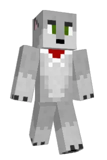 401geegee Minecraft avatar full body