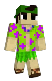 Skin preview