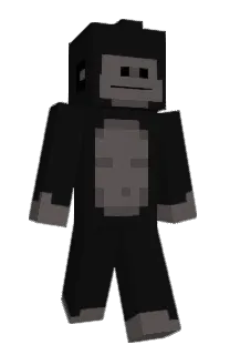 snorkelmyturtles's Minecraft skin