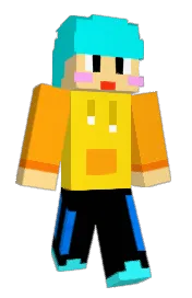 Skin preview