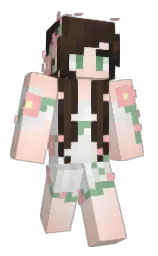 Back of Minecraft skin