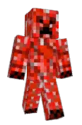 Flosser