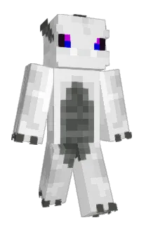 Front of namir20's skin