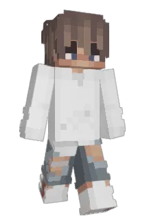 404O Minecraft avatar full body