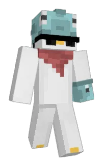 DucKFishh's Minecraft skin