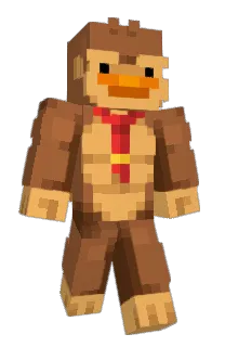 Front of SkinEditor's skin