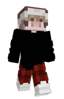 Front of Noellosaurus's skin