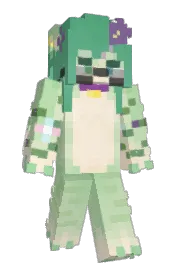 Skin preview
