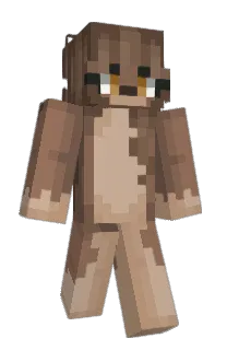 Front of ambwer's skin