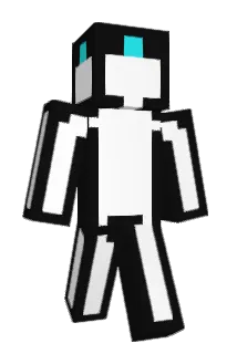 40_two Minecraft avatar full body