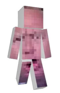tyler1dufflebag's Minecraft skin