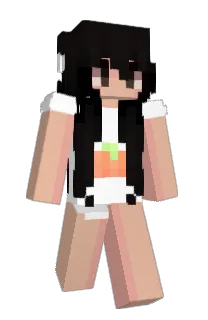 Front of pkin's skin