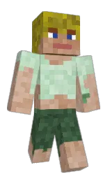 Custom render preview