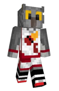 Front of Minecraft skin