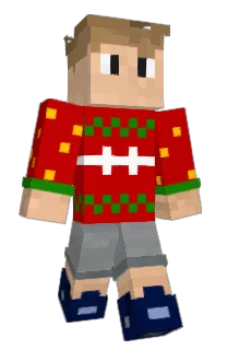 Front of blockbot_2_0's skin