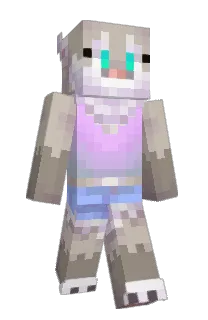 Front of PocketPallie's skin