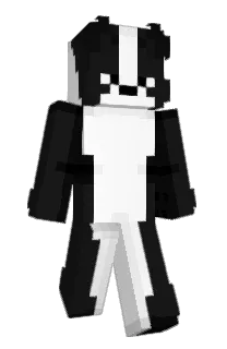 Front of O_W_E_N_'s skin