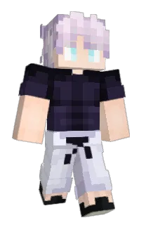 Front of SHAD0WIC's skin