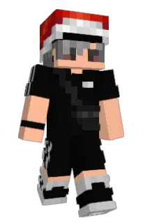 Front of PayWithVisa's skin