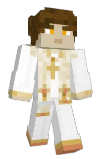 Front of 9rig's skin