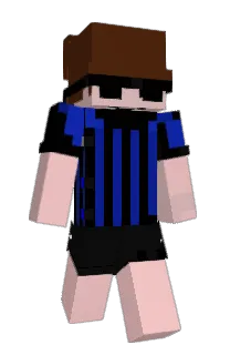 Front of stendrei's skin