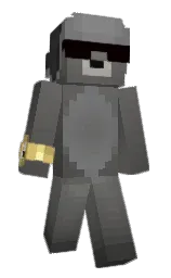 Minecraft skin — Slim model — first worn by 1seal