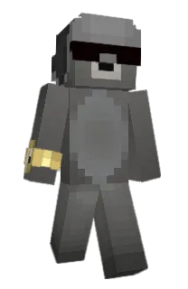 Front of 1seal's skin